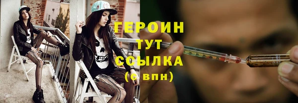индика Надым
